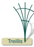 Treillis